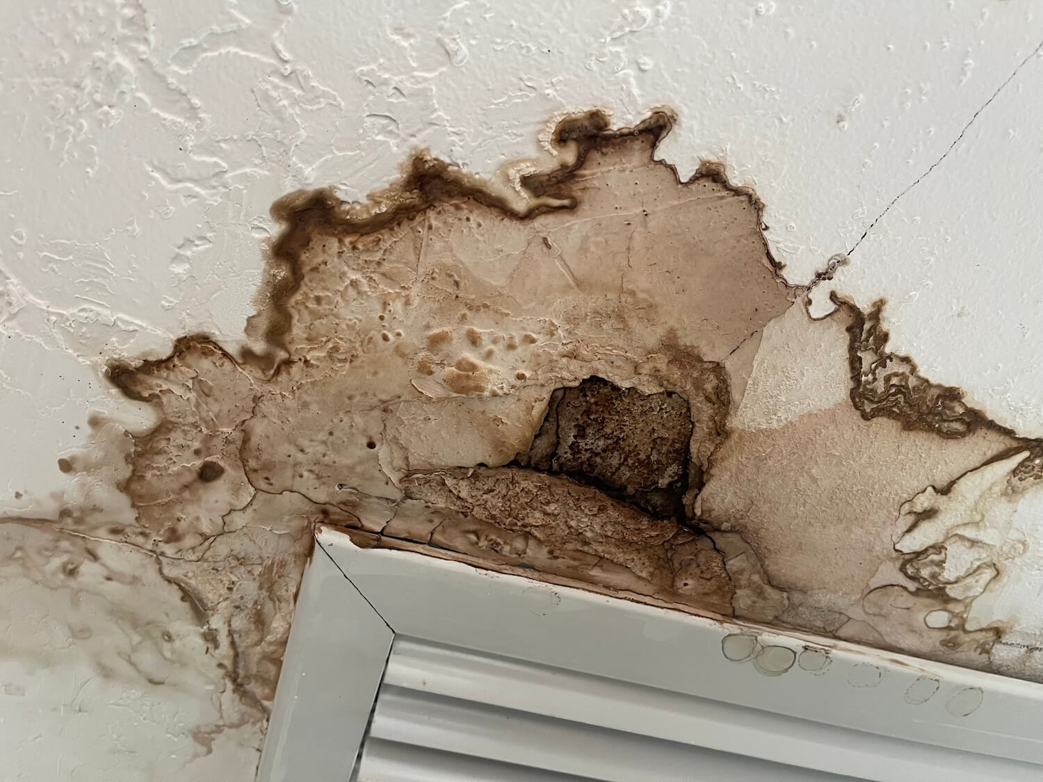 Water Damage Related Mold